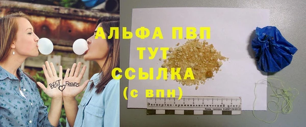 сатива Балахна