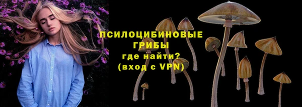 PSILOCYBIN Балабаново