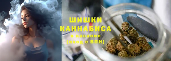 сатива Балахна