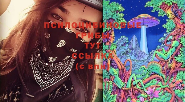 PSILOCYBIN Балабаново