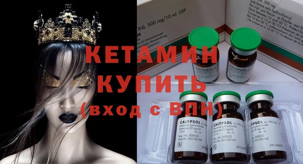 сатива Балахна