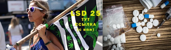 PSILOCYBIN Балабаново