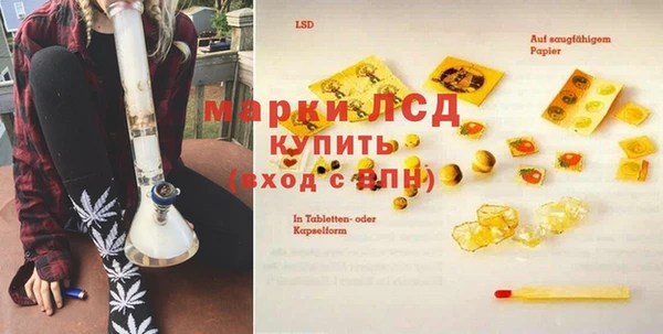 сатива Балахна