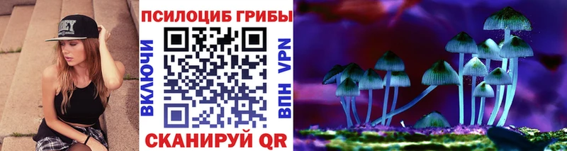 Псилоцибиновые грибы мицелий  закладка  Новая Ладога 